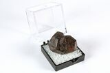 Goethite Pseudomorph after Pyrite Crystals - Utah #371940-1